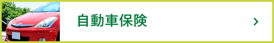 自動車保険